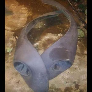 Volkswagen  bettle  fenders